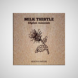 Herbs and Spices Collection - Milk thistle
