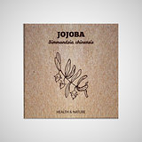 Herbs and Spices Collection - Jojoba