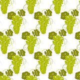 Seamless pattern grapes vector