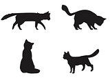 Cats collection - vector silhouette.