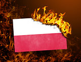 Flag burning - Poland