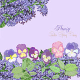 Background with pansies and lilac