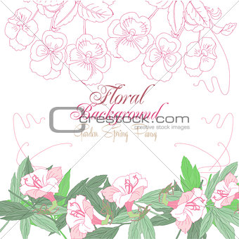 White floral Background with pink pansies