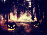 Pumpkins in the Night Forest