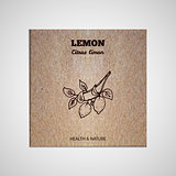 Herbs and Spices Collection - Lemon