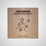 Herbs and Spices Collection - Fenugreek