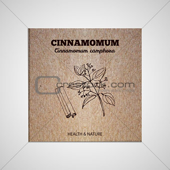 Herbs and Spices Collection - Cinnamomum