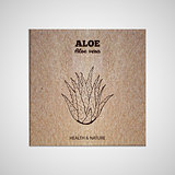 Herbs and Spices Collection - Aloe Vera