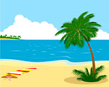 Sea shore with palm tree