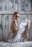 Young graceful ballerina