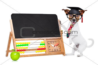 school teacher dog