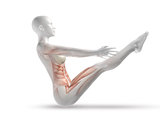 3D female medical figure with skeleton in yoga pose