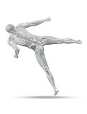 3D male medical figure in kick boxing pose