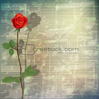 abstract grunge music background with red rose