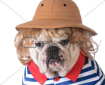 dog wearing clothing 