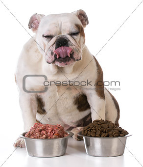 choice between raw and kibble
