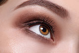 Glamour brown eye make up close