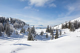 Winter Landscape At Mt. Dobratsch