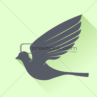 Grey Bird