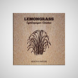 Herbs and Spices Collection - Lemongrass