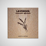 Herbs and Spices Collection - Lavender