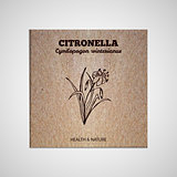 Herbs and Spices Collection - Citronella