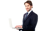 Business professional browsing on laptop