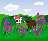 Dog in Flower Meadow