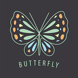 vector logo of the butterfly patterns on a dark background