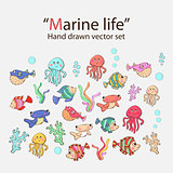 Vector marine life hand drawn set
