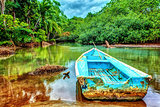 Old boat in tropical river