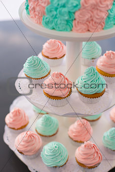 Fancy Pink and Green Cupcakes