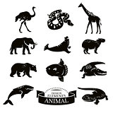 Set of animal icons