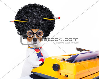 secretary typewriter  dog    
