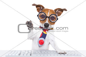 secretary dog 