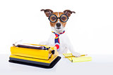secretary typewriter  dog 