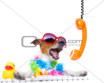 dog shouting on the phone