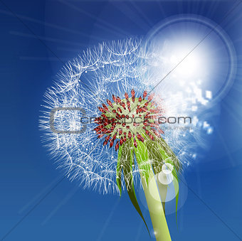 Dandelion seeds blown in the blue sky.