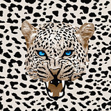 Leopard pattern vector