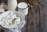 Dairy products and grains background