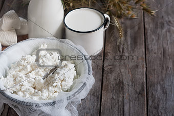 Dairy products and grains background