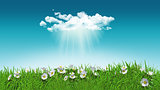 3D daisies in grass with cloud