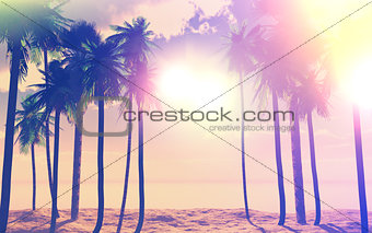 3D palm trees and ocean with vintage effect