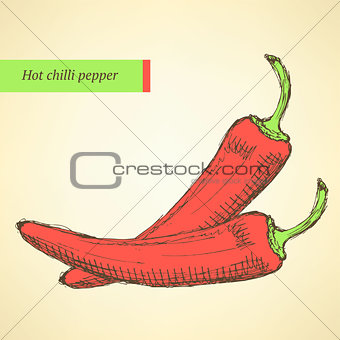 Sketch chilli pepper in vintage style