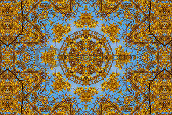 kaleidoscopic floral pattern