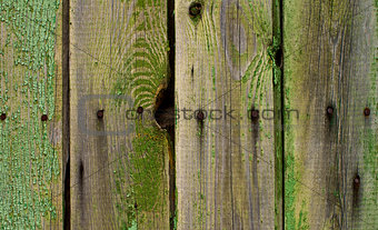 Cracked Wooden Background