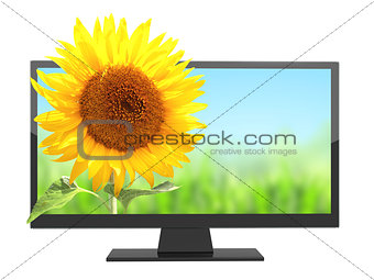 Modern TV with 3d effect on screen