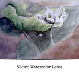 Vector illustration of a lotos flower.