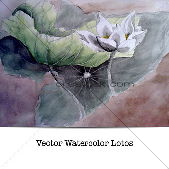 Vector illustration of a lotos flower.