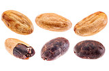 raw cacao beans isolated